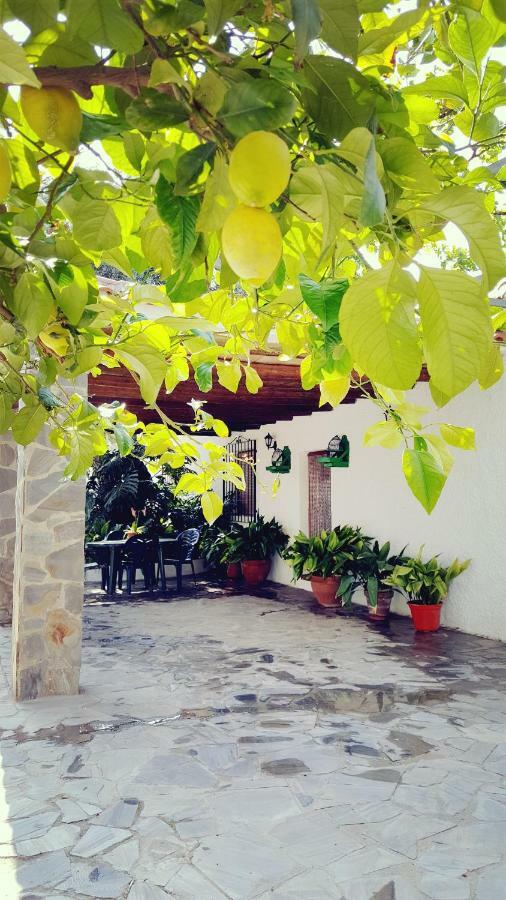 Cortijo Lalo Villa Orgiva Exteriör bild